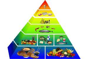 Una Alimentación Saludable. Nutrientes de los Alimentos